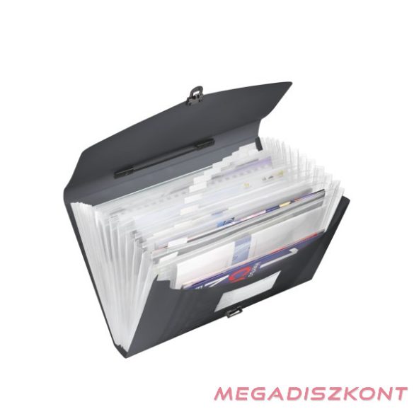 Irattartó táska ESSELTE Vivida PP 12 rekeszes harmónikás A/4 fekete