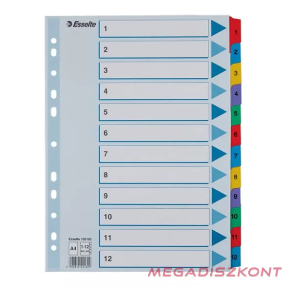 Regiszter ESSELTE Mylar A/4 laminált karton 1-12