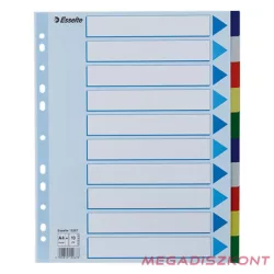 Regiszter ESSELTE A/4 műanyag maxi 10 részes
