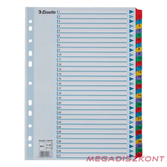 Regiszter ESSELTE Mylar A/4 laminált karton 1-31