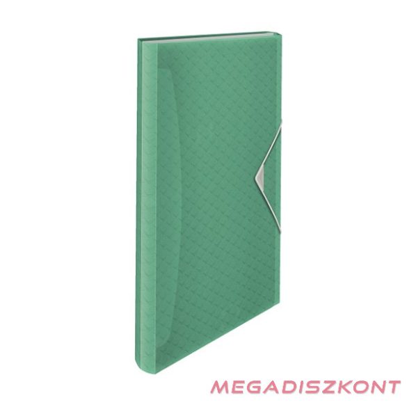 Harmónika mappa ESSELTE Colour Breeze A/4 PP 6 rekeszes zöld