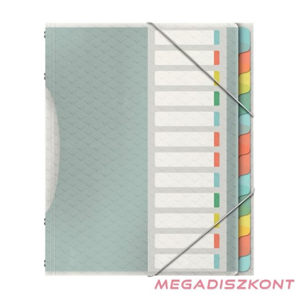 Előrendező ESSELTE Colour Breeze A/4 PP 12 részes