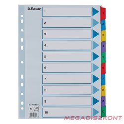 Regiszter ESSELTE Mylar A/4 laminált karton 1-10
