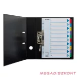 Regiszter ESSELTE Mylar A/4 laminált karton 1-10