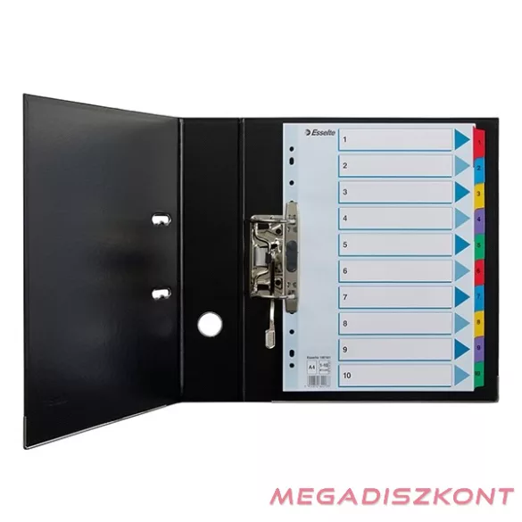 Regiszter ESSELTE Mylar A/4 laminált karton 1-10