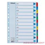 Regiszter ESSELTE Mylar A/4 laminált karton Jan-Dec