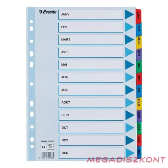 Regiszter ESSELTE Mylar A/4 laminált karton Jan-Dec