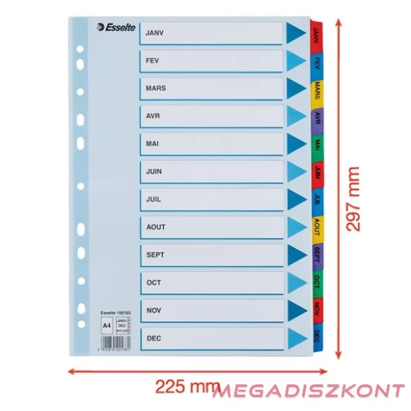 Regiszter ESSELTE Mylar A/4 laminált karton Jan-Dec