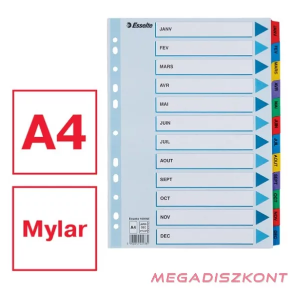 Regiszter ESSELTE Mylar A/4 laminált karton Jan-Dec