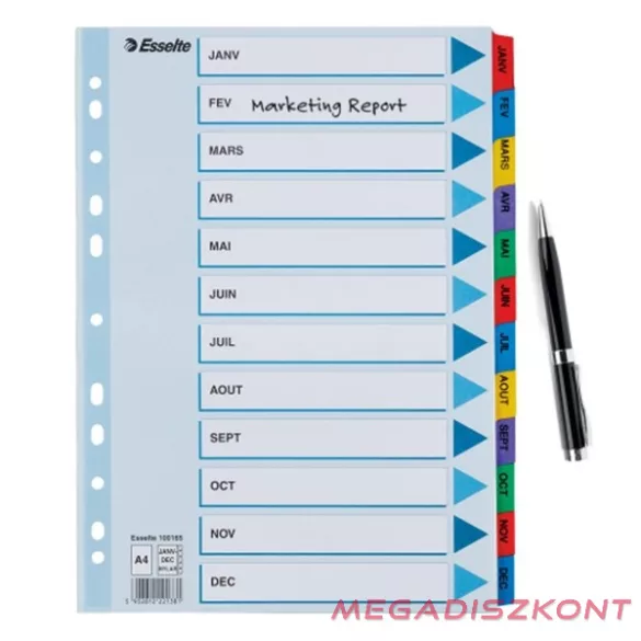Regiszter ESSELTE Mylar A/4 laminált karton Jan-Dec