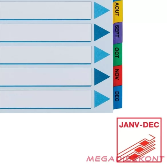 Regiszter ESSELTE Mylar A/4 laminált karton Jan-Dec