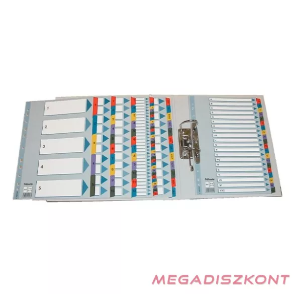 Regiszter ESSELTE Mylar A/4 laminált karton Jan-Dec