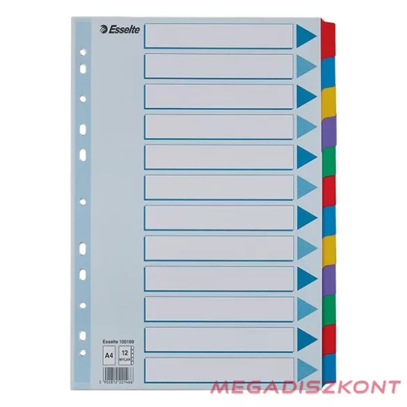 Regiszter ESSELTE Mylar A/4 laminált karton 12 részes