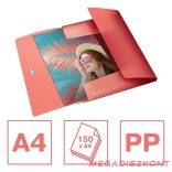 Gumis mappa ESSELTE Colour Breeze A/4 PP 15 mm korall