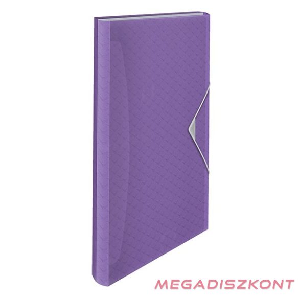Harmonika mappa ESSELTE Colour Breeze A/4 6 rekeszes levendula