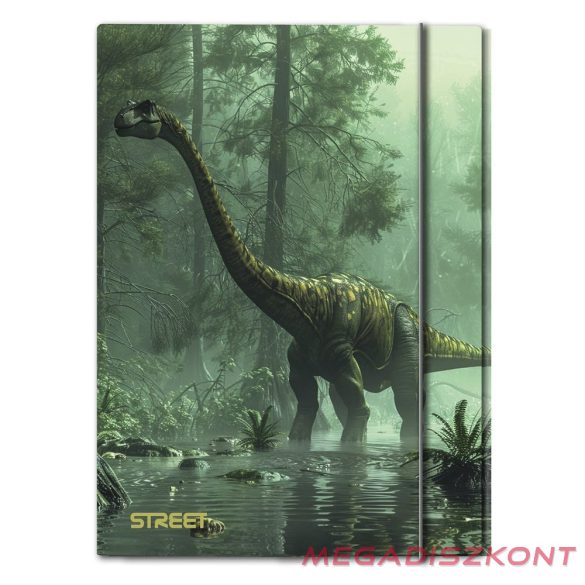 Gumis mappa STREET A/4 1 cm gerincvastag Dino