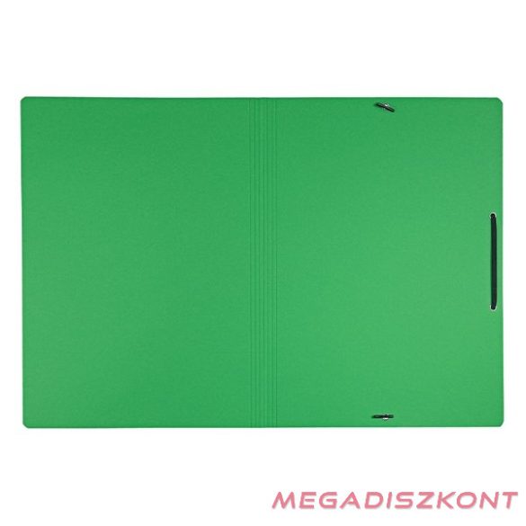 Gumis mappa LEITZ Recycle karton A/4 zöld