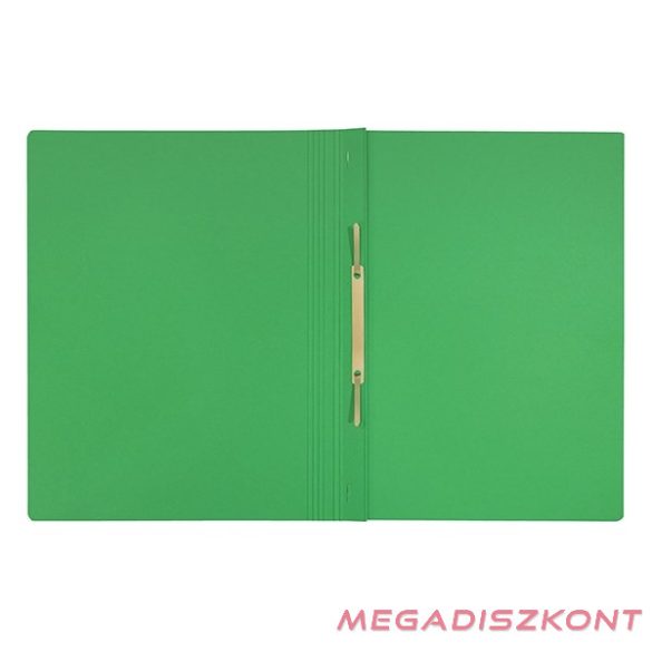 Gyorsfűző LEITZ Recycle  A/4  karton zöld