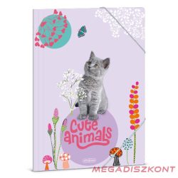 Gumis mappa ARS UNA A/4 Cute Animals-Kitten