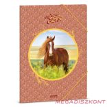 Gumis mappa ARS UNA A/4 My Sweet Horse