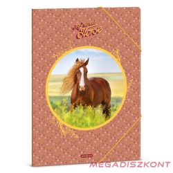 Gumis mappa ARS UNA A/4 My Sweet Horse