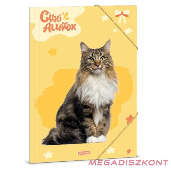 Gumis mappa ARS UNA A/4 Cuki-Norvég erdei macska