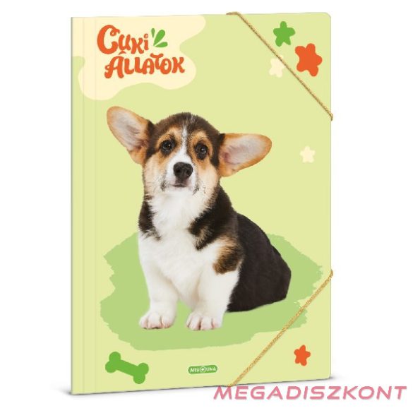Gumis mappa ARS UNA A/4 Cuki-Welsh corgi