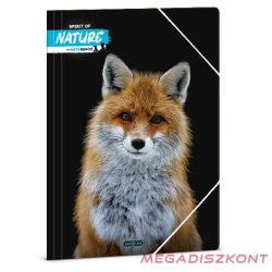 Gumis mappa ARS UNA A/4 Máté Bence-fox