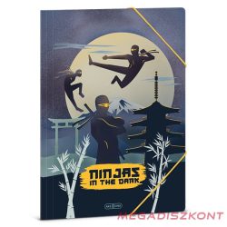 Gumis mappa ARS UNA A/4 Ninjas in the Dark