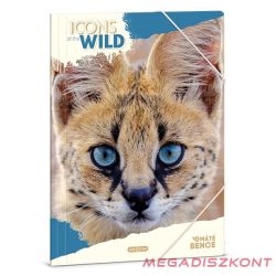 Gumis mappa ARS UNA A/4 Icons of the Wild-Serval