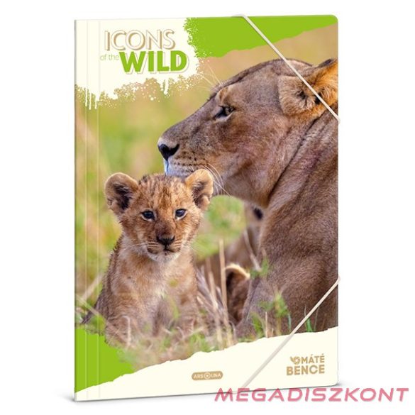 Gumis mappa ARS UNA A/4 Icons of the Wild-Lions