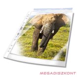 Lefűzhető genotherm DURABLE PP A/4 extra széles 90 mikron víztiszta 50 darabos