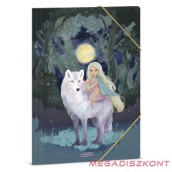 Gumis mappa ARS UNA A/4 Northern Lights