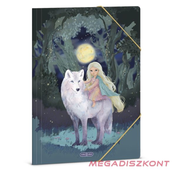 Gumis mappa ARS UNA A/4 Northern Lights