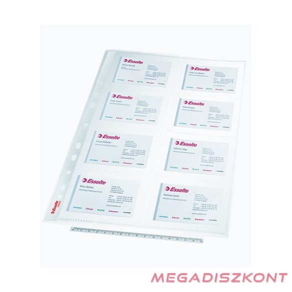 Névjegytartó ESSELTE lefűzhető A/4 8 darabos (16 férőhelyes)
