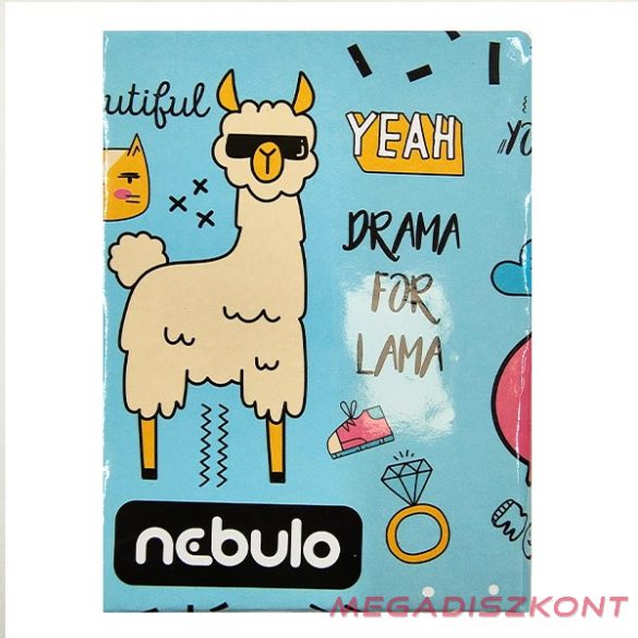 Írószertartó NEBULO Girl Power