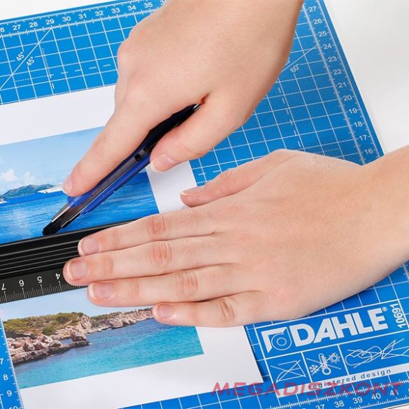 Dekoratőr tábla DAHLE 10691 30x45